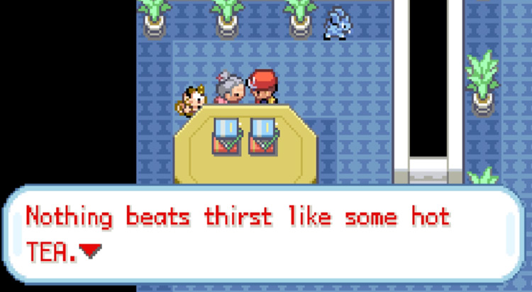 Getting the Tea from the elderly lady in the Celadon Mansion / Pokemon FRLG