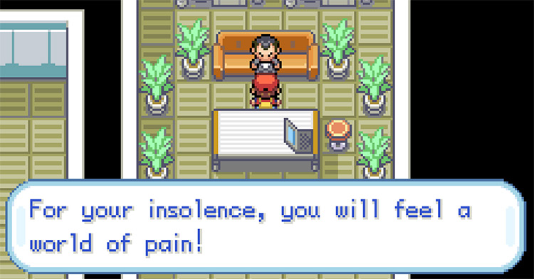 Challenging Giovanni to a battle in Rocket HQ / Pokemon FRLG