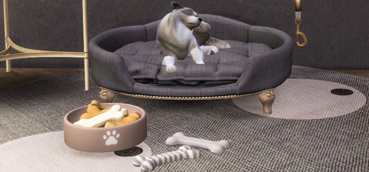 The Best Sims 4 Pet Bed CC (All Free)