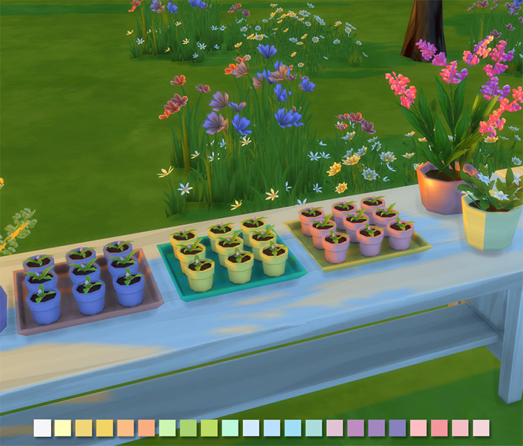 Flower Pots Tray / Sims 4 CC