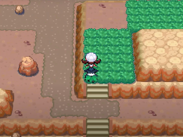 Pokemon HeartGold and SoulSilver :: The Johto Safari Zone