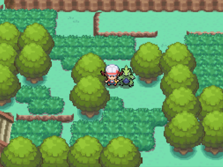 The beginning of Route 28 / Pokémon HGSS