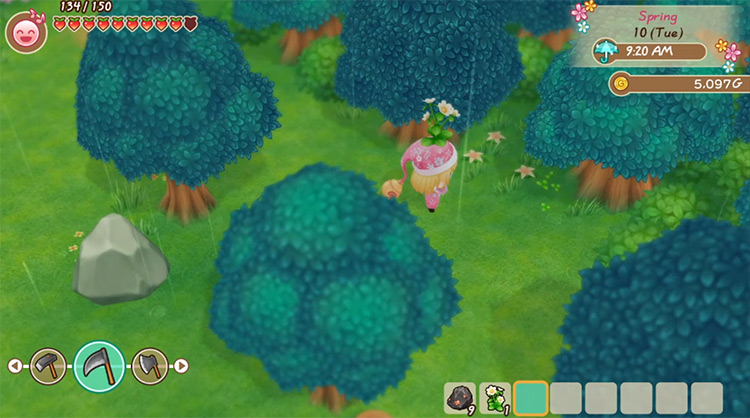 The farmer picks up a Toy Flower in the Forest / SoS: FoMT