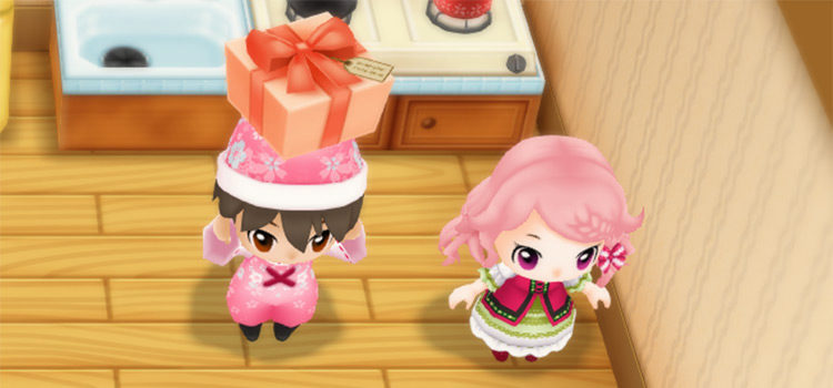 SoS: FoMT Popuri Gifts Guide (Friendship + Marriage)