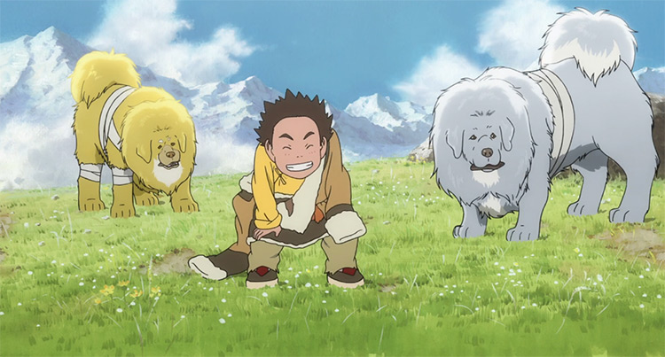 The Tibetan Dog anime