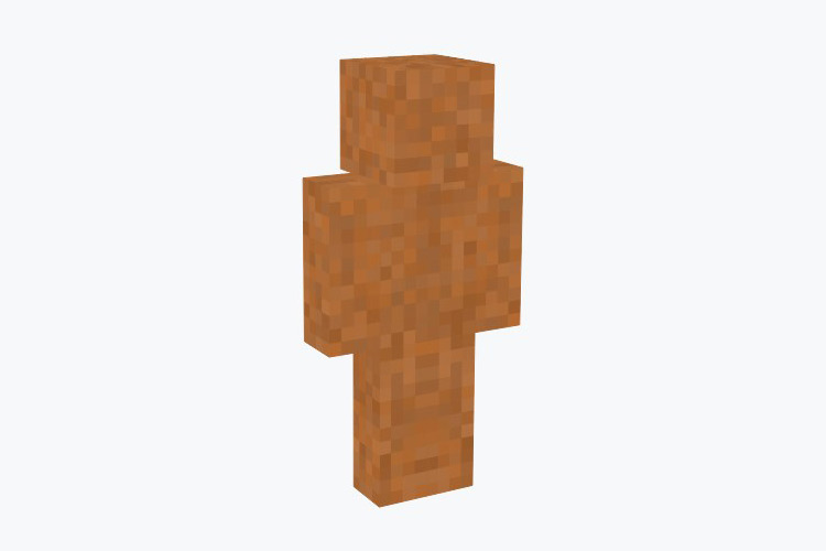 Chicken McNugget Minecraft Skin