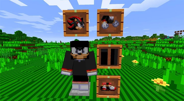 Sonic The Hedgehog Minecraft Pack