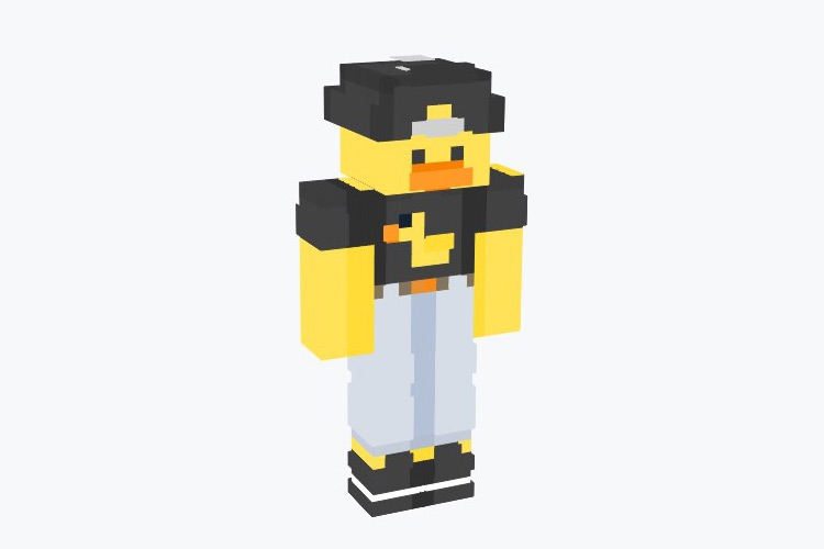 Skater Duck Minecraft Skin