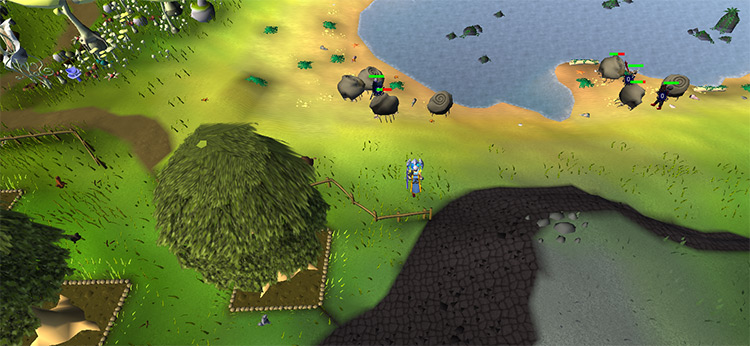 A mix of players and crabs north of the tree patches / OSRS