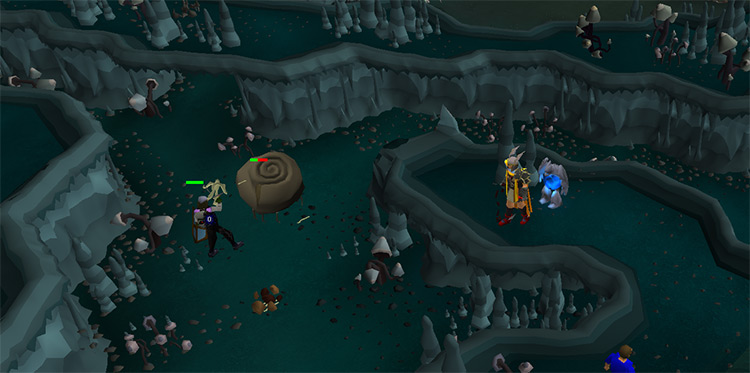 Entrance of the cave / OSRS