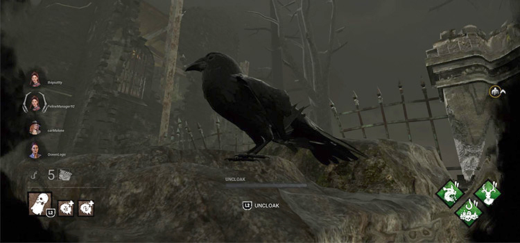 Crow at Crotus Prenn Asylum (DBD)