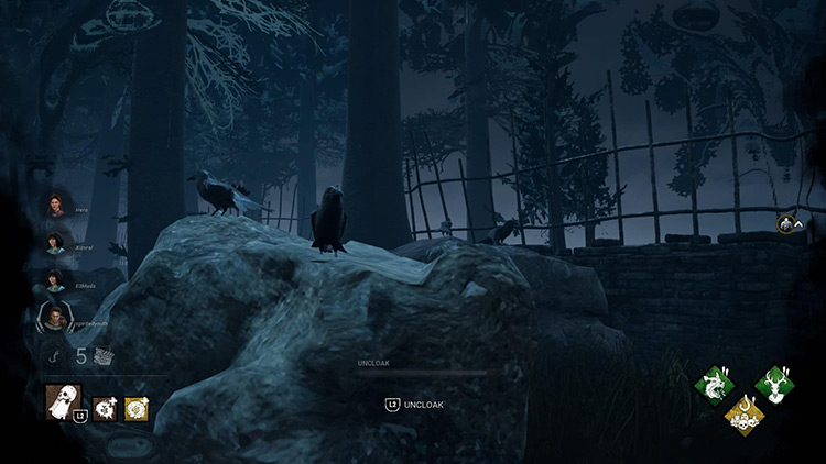 Startling crows on a rock in the Red Forest / DBD
