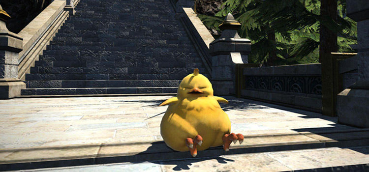 How To Get The Heavy Hatchling Minion (FFXIV)