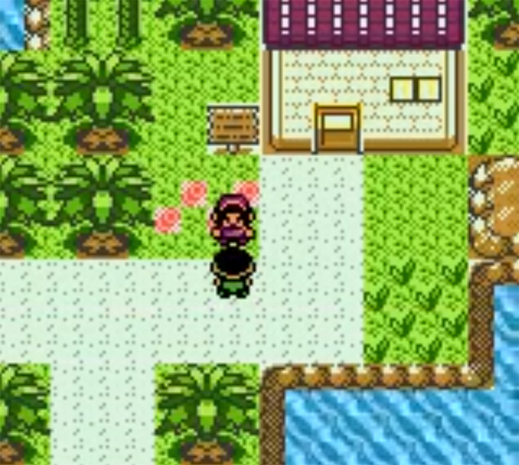 Pokémon Orange Version GBC - ROM hack screenshot