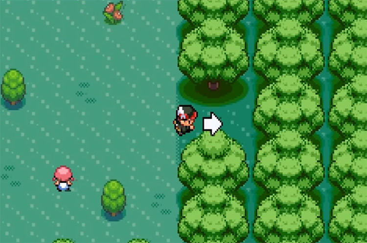 Pokémon Gaia Hack Screenshot preview