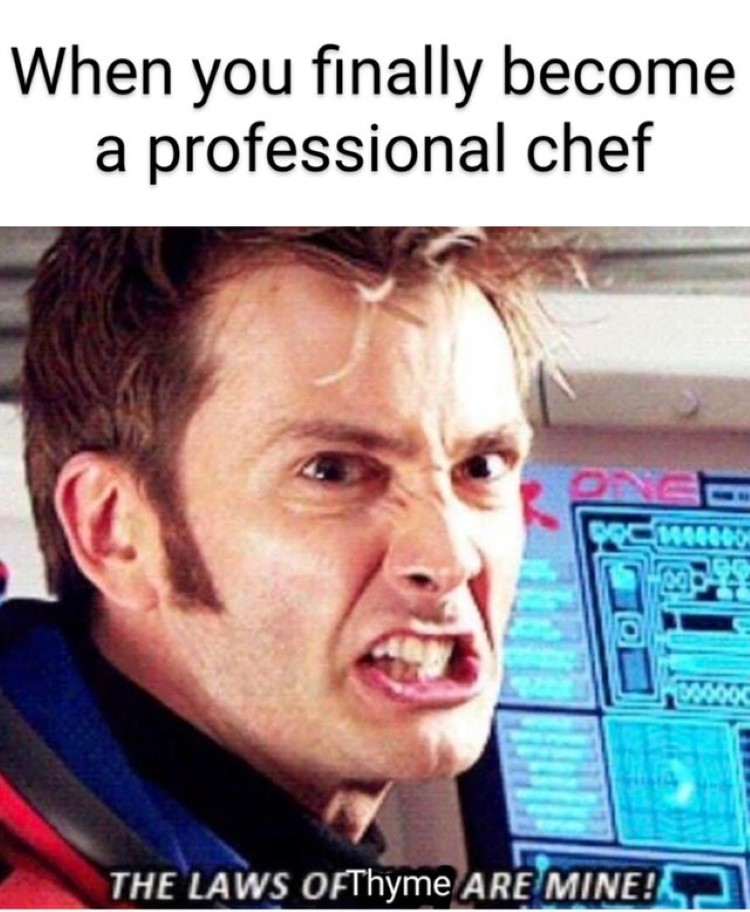 When you finally become a professional chef? The laws of Thyme are mine meme