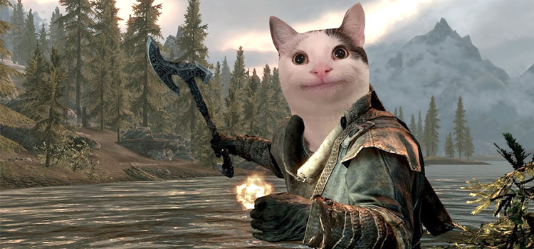Cat photoshopped over face of Skyrim dragonborn
