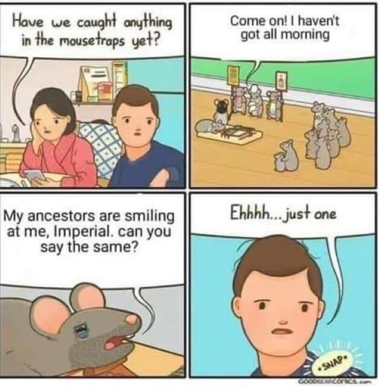 Mousetraps in Skyrim meme
