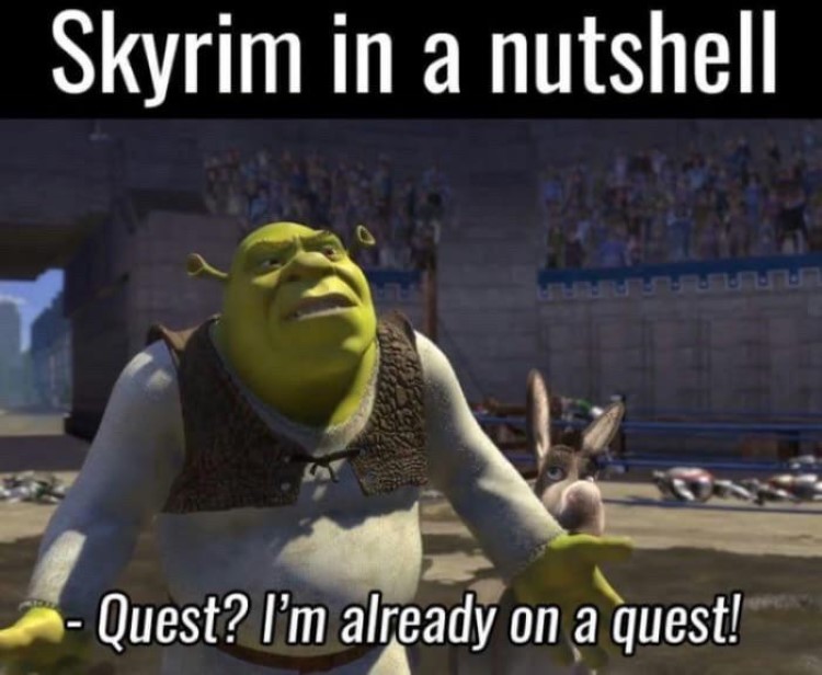 Skyrim in a nutshell: Shrek is on a quest