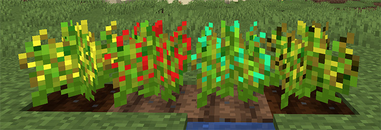 The Veggie Way Minecraft