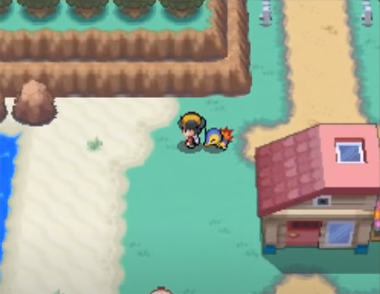 Pokémon HeartGold gameplay screenshot