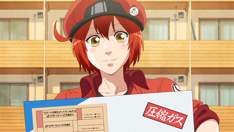 Red Blood Cell from Cells at Work Anime