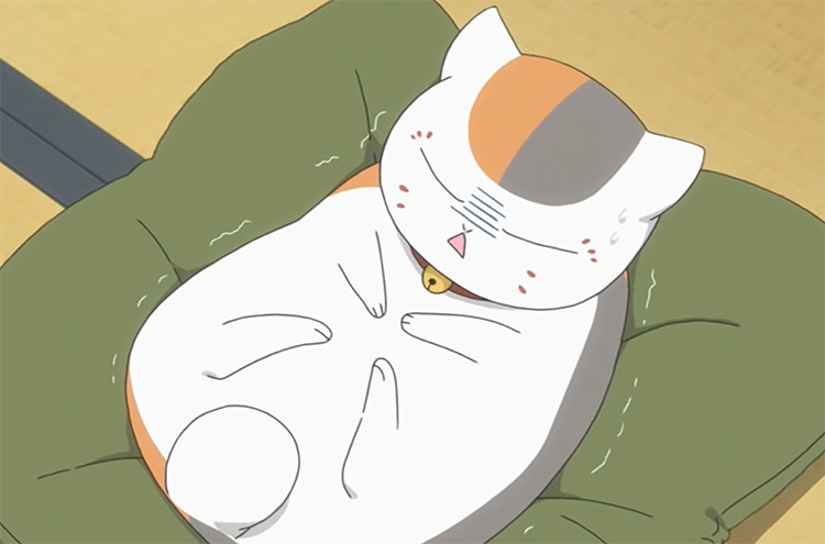 25 Best Cats In Anime  The Ultimate Feline List   FandomSpot - 30