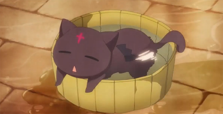 25 Best Cats In Anime  The Ultimate Feline List   FandomSpot - 86