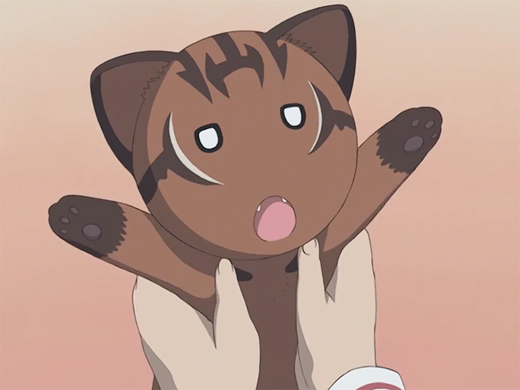 10 Best Cat Companions In Anime