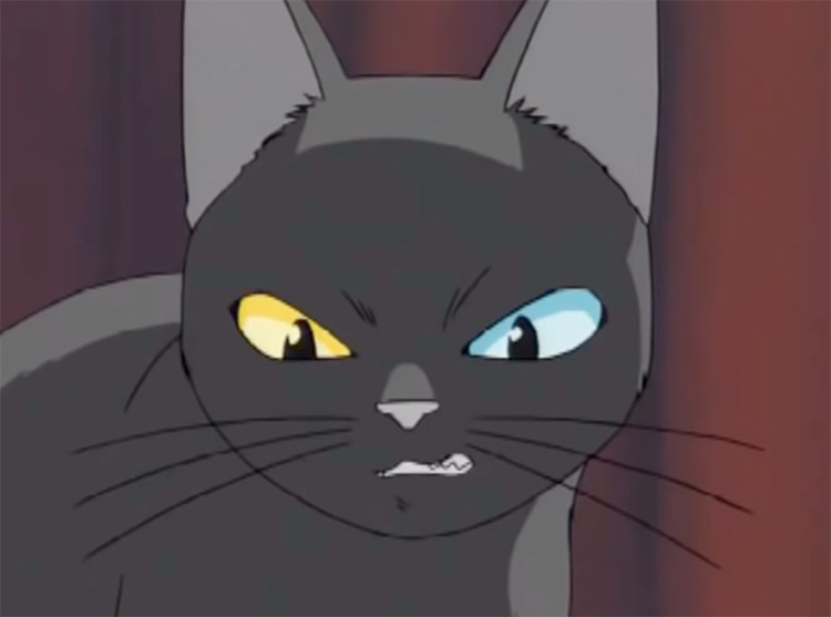 Animal Anime Black Cat / Black Cat Wild Kurisu / Tumblr is a place to ... Cats Drawing Tumblr