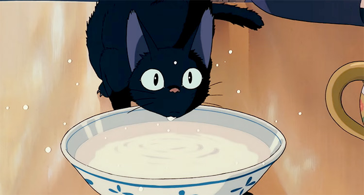 25 Best Cats In Anime: The Ultimate Feline List – FandomSpot