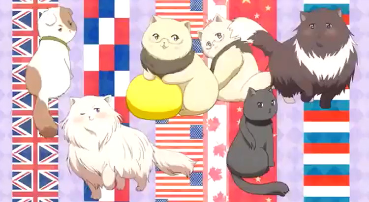 10 Best Cat Companions In Anime