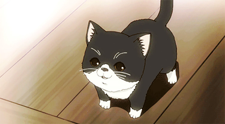 Cute Anime Kitten 2 Art Print by StrangeForce - Fy-demhanvico.com.vn