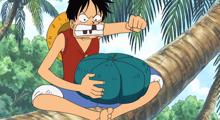 One Piece Shounen Anime Screenshot