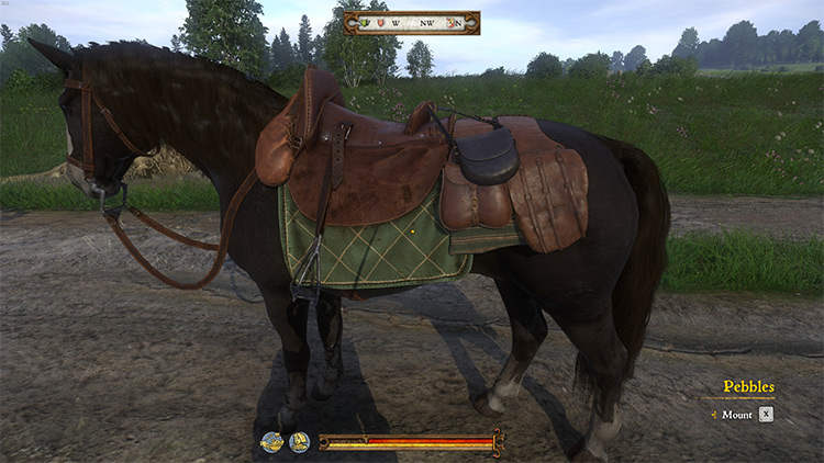 Pebbles is the Best Horse Kingdom Come Deliverance Mod