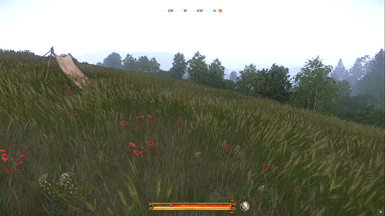 Easy To See Herbs Kingdom Come Deliverance Mod