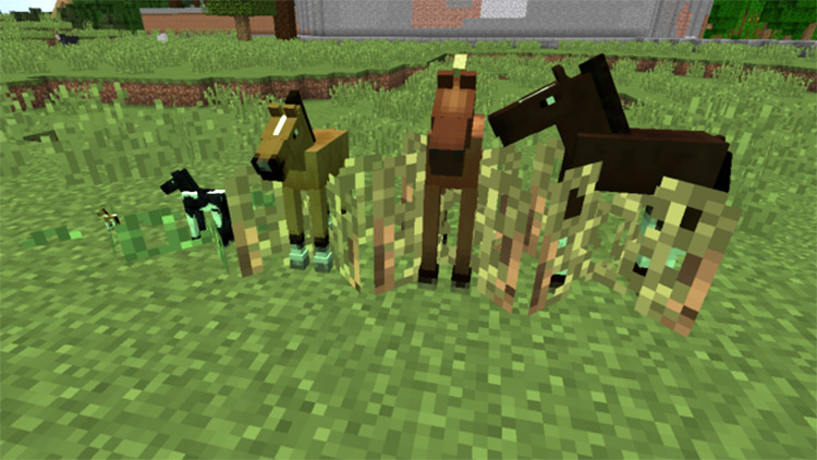 Animal Crops Mod for Minecraft