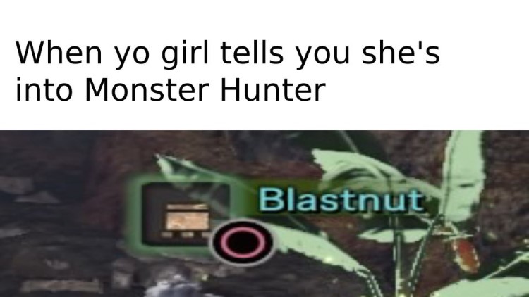 When yo girl says shes into Monster Hunter