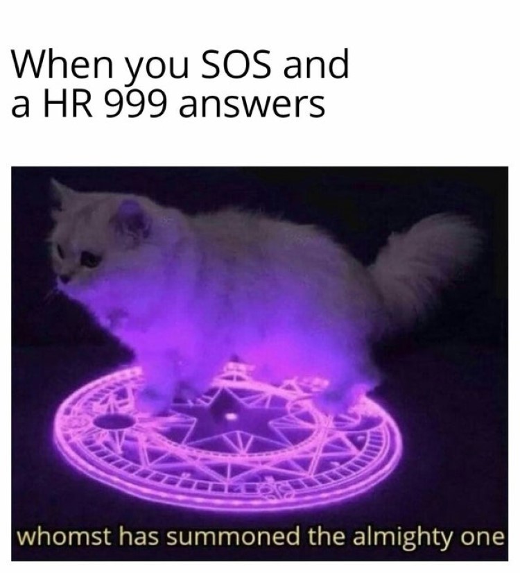 When you SOS and HR 999 answers meme