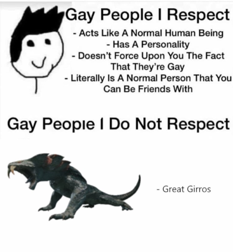 Gay people I do not respect Great Girros meme
