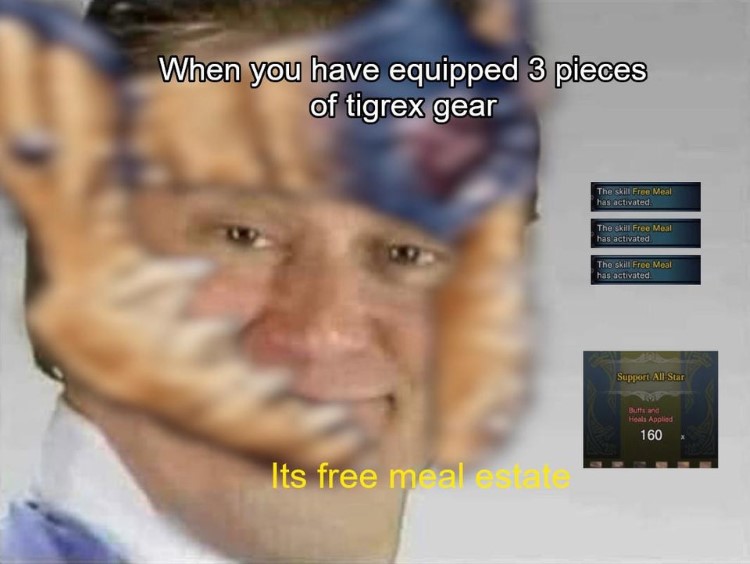 When you have equipped 3 tigrex gear