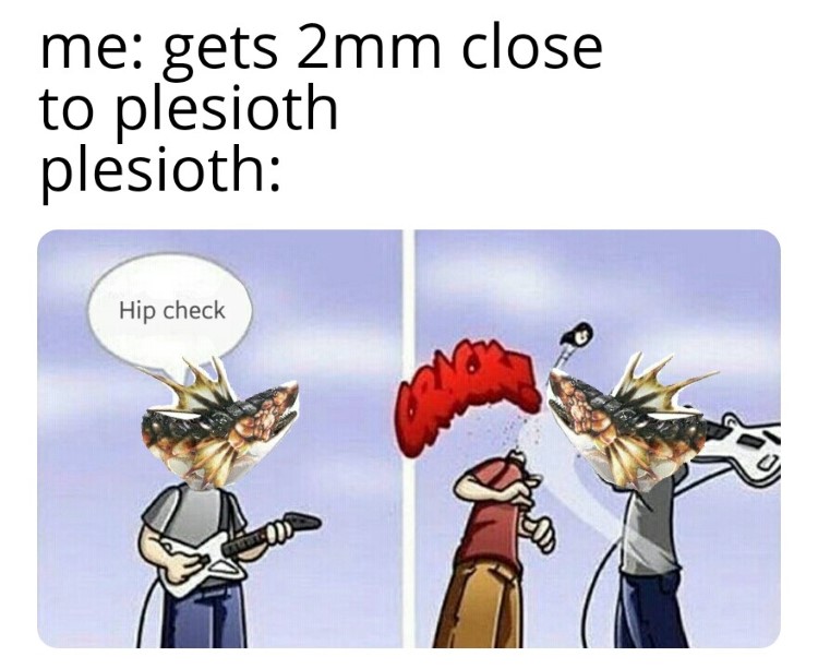 Getting 2mm close to Plesioth meme