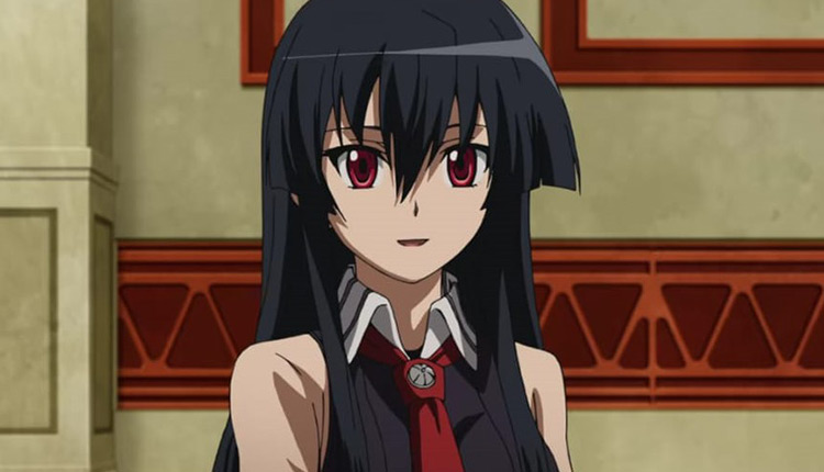 Akame ga Kill TV Series 2014  IMDb