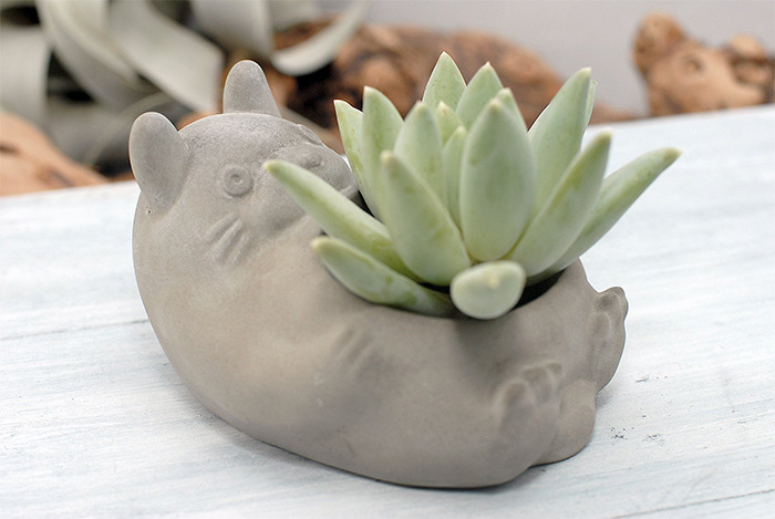 Totoro concrete succulent planter