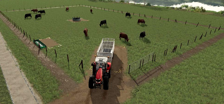 Cattle Pasture Mod for FS19