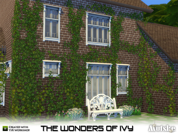 The Wonders of Ivy / TS4 CC