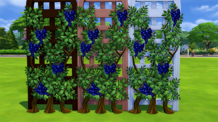 Sims 4 Ivy   Vines CC  All Free To Download    FandomSpot - 43