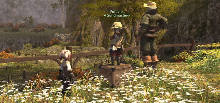 Guildmaster in botanist questline for FFXIV