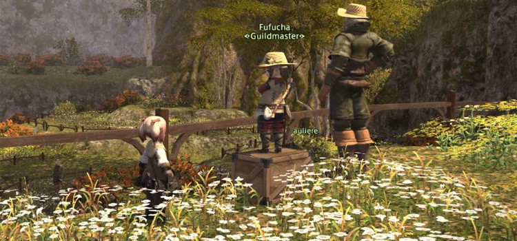 FFXIV: What Are Unspoiled Nodes How Do They Work? – FandomSpot