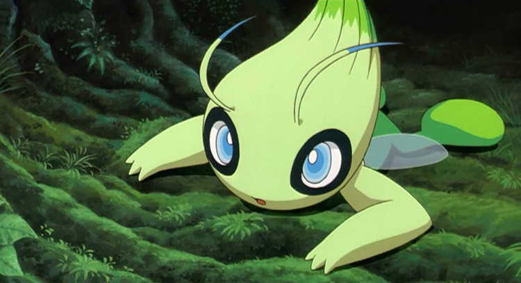 Celebi Pokemon in the anime